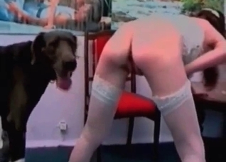 This dog is much bigger than a girl