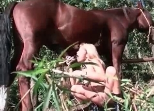 Ex-girlfriend sucks a horse
