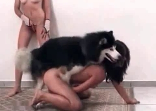 Busty bitches and active doggy
