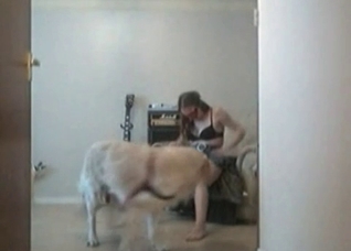 Hot active games with a zoo slut
