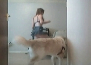 Hot active games with a zoo slut