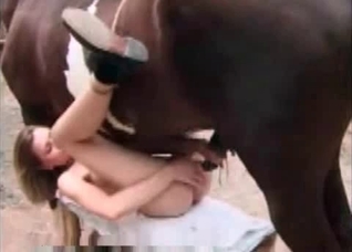 Bestial action under stallion