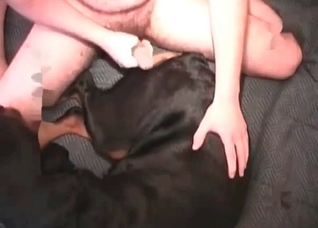 Black dog gets a nice cumshot