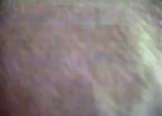 Impressive zoo porn in close up