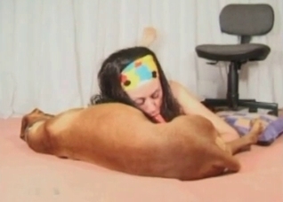 Amateur zoofil sucks a dog dick