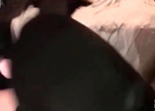 My Doberman gone crazy