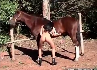Striptease in front a stallion