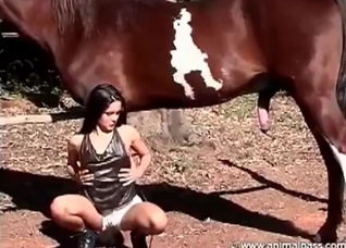 Striptease in front a stallion