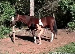 Striptease in front a stallion