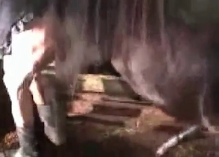 This horse can impale her twat