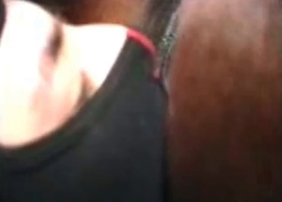 Just exploring a juicy horse anus