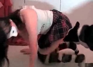 Dog accurately fucks her cunt