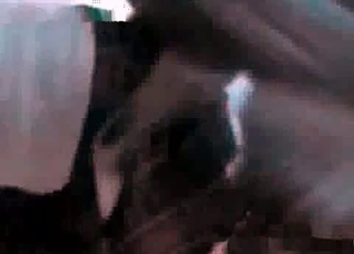 Dog accurately fucks her cunt