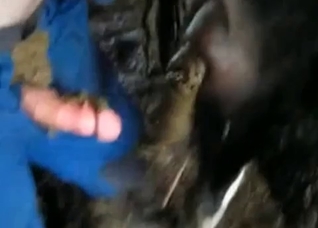 Farmer gives a nice anal lesson