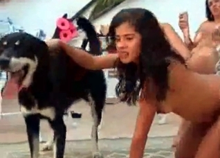 Barely legal teen in the bestial porn