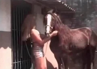 Let me wank this stallion wiener