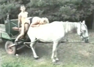 Stallion enjoys my massive boner