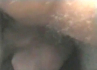 Stallion enjoys my massive boner