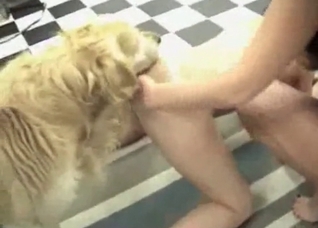 Hairy white dog and oriental girl
