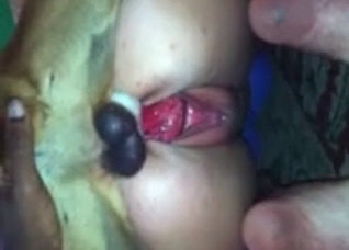 Dirty and awesome animality sex