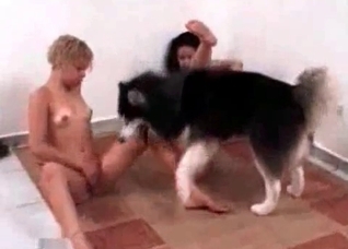 Two ladies and their obedient dog