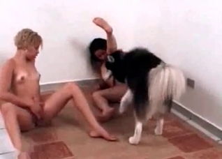 Two ladies and their obedient dog