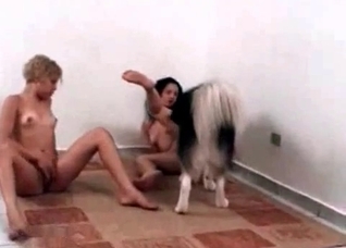 Two ladies and their obedient dog