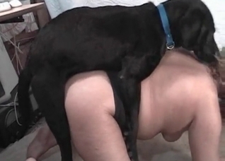Dog creams a juicy wet snatch