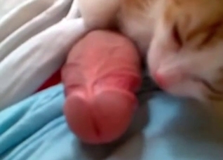 Cute kitty tastes my wiener