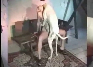 White doggy and crazy blonde