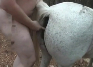 Fat programmer impales a stallion