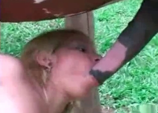 Blonde is trying to suck a horse