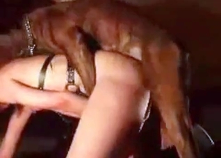 Muscled dog truly enjoys her puss