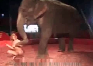 Redhead and her trained elephant
