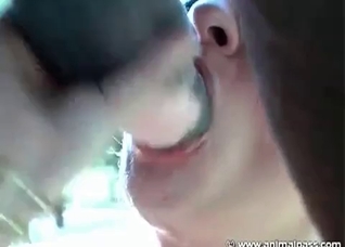 Just want to get a horse cum