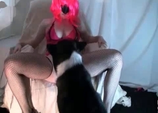 Fellatio action with an animal