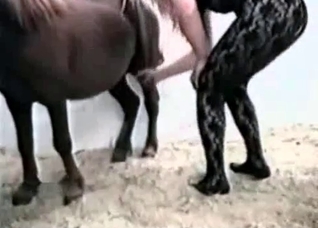 Elegant blonde and young pony