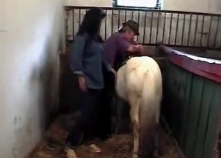 Animal addicted slut and her horse