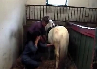 Animal addicted slut and her horse