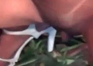 Zoophiles masturbates a horse dick