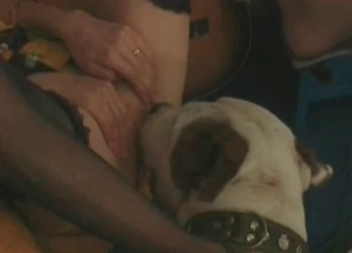 Spicy cunnilingus by a doggy
