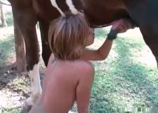 Sensual blowjob for a stallion