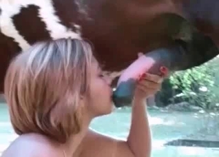 Sensual blowjob for a stallion