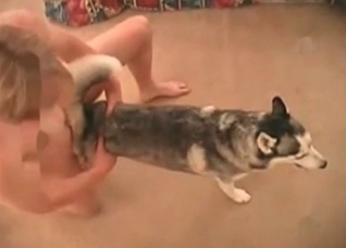 Enjoyable zoophilic anal sex