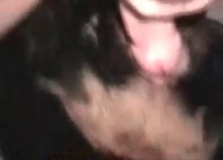 Black animal licks a hard pole
