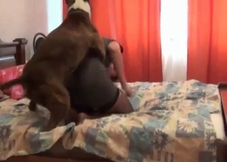 Doggy style zoophilic pounding