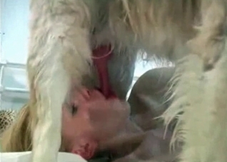 Elegant blonde does a bestial blowjob