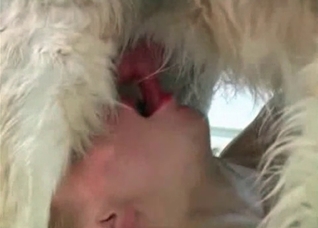 Elegant blonde does a bestial blowjob