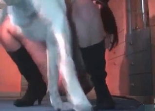 Passionate dog pounds my wife