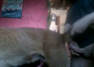 Yes, I can fuck my own doggy